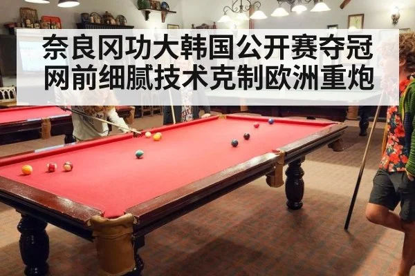 奈良冈功大韩国公开赛夺冠 网前细腻技术克制欧洲重炮